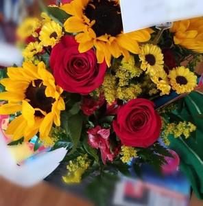 Meet your Posher, Shannon